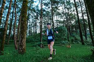 BIB: 5023
                            <button type="button" onclick="openModal(25020437)" class="btn btn-primary btn-sm float-right btn-popup" data-toggle="modal" data-target=".modal-high-quality">
                        <i class="fas fa-shopping-cart"></i> Add to Cart
                    </button>
                                            <button type="button" onclick="isThisMe(25020437, true)" class="btn btn-success btn-sm float-right btn-popup btn-isme hidden" data-toggle="tooltip" data-placement="bottom" title="นี่คือรูปของคุณใช่ไหม คลิกที่นี่เพื่อเอาเข้าอัลบั้ม">
                        <i class="fas fa-plus"></i> Add to album
                    </button>
                    <button type="button" onclick="isThisMe(25020437, false)" class="btn btn-warning btn-sm float-right btn-popup btn-isnotme hidden">
                        <i class="fas fa-ban"></i> Remove from album
                    </button>